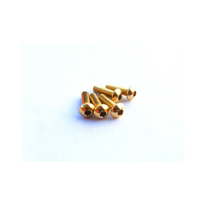 48042 Hiro Seiko M3x12 Gold Alloy Hex Socket Button Head Screw Hiro Seiko - 1