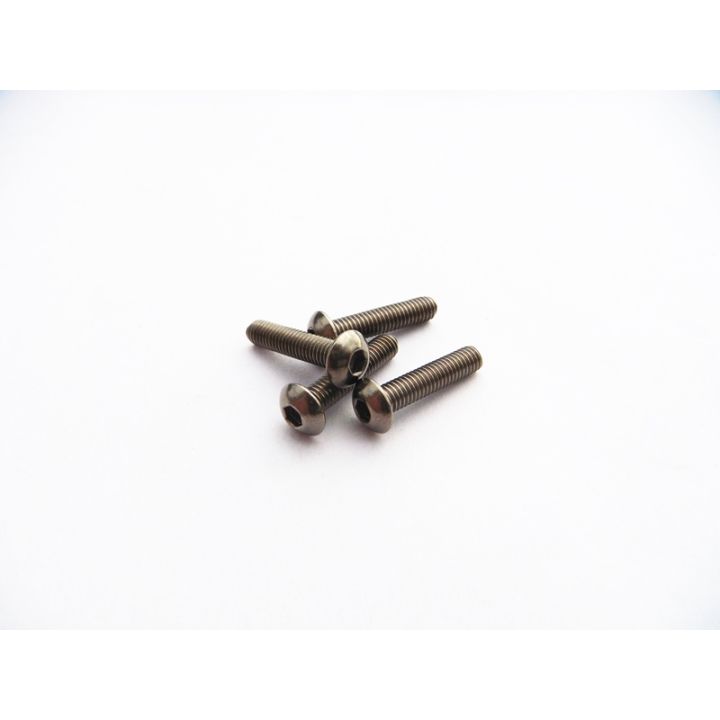 69682 Hiro Seiko M3x12 Titanium Hex Socket Button Head Screw Hiro Seiko - 1