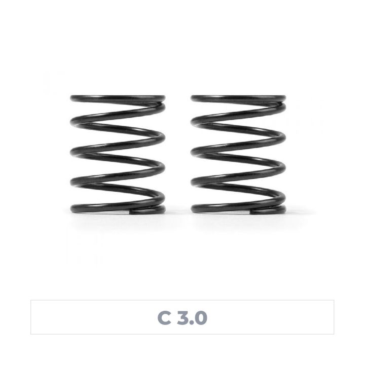 308377 Xray C3.0 Spring-Set (2)